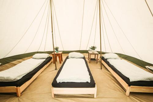 Progress Outdoor Surf Hostel