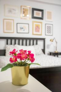 Travel & Live Porto Hostel