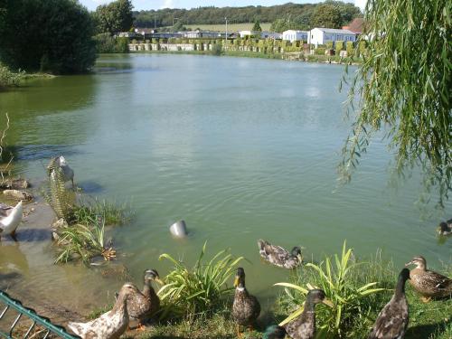 Auberge des Etangs Roussent france