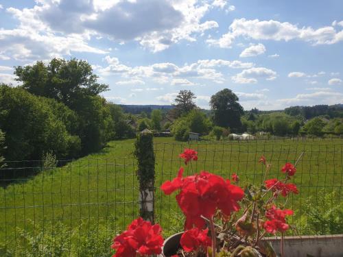 Auberge du Bois de l'étang - Motel les Tilleuls Peyrat-le-Château france