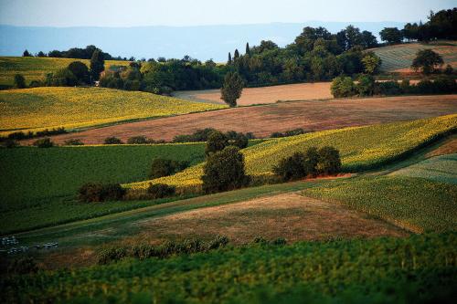 Hôtel Auberge du Poids Public Sur la D622 Saint-Félix-Lauragais