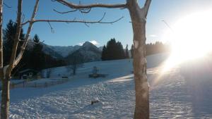 Gasthof Seeweg