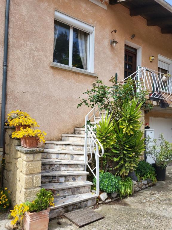 Hotel Bacchusstube garni