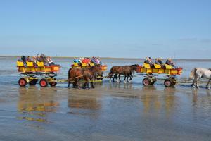 Auberge Hotel Kenny & Henry 10 Georg-Wolgast-Weg 27476 Cuxhaven Basse-Saxe