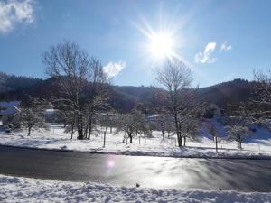 Auberge Landgasthof Grüner Baum 19 Sehringer Straße 79410 Badenweiler Bade-Wurtemberg