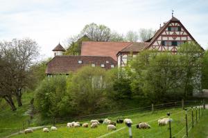 Schloss Hohenfels / Gästehaus 7. Himmel