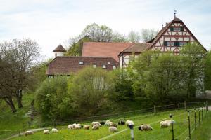 Auberge Schloss Hohenfels / Gästehaus 7. Himmel Schloss Hohenfels 4 Tagungszentrum Schloss Hohenfels 78355 Hohenfels Bade-Wurtemberg