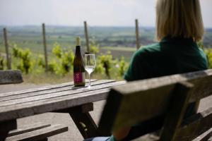 Auberge Weingut Schilling Frankenstraße 7 97342 Seinsheim Bavière