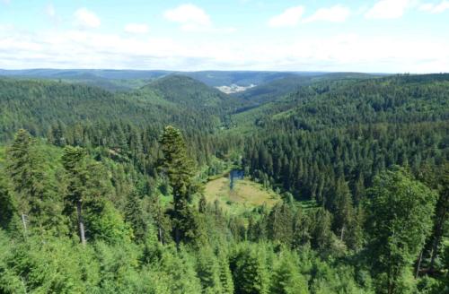 Appartement Auszeit im Schwarzwald Kohlwaldweg Freudenstadt