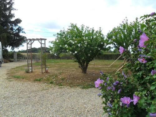 Aux Cadollines Romenay france
