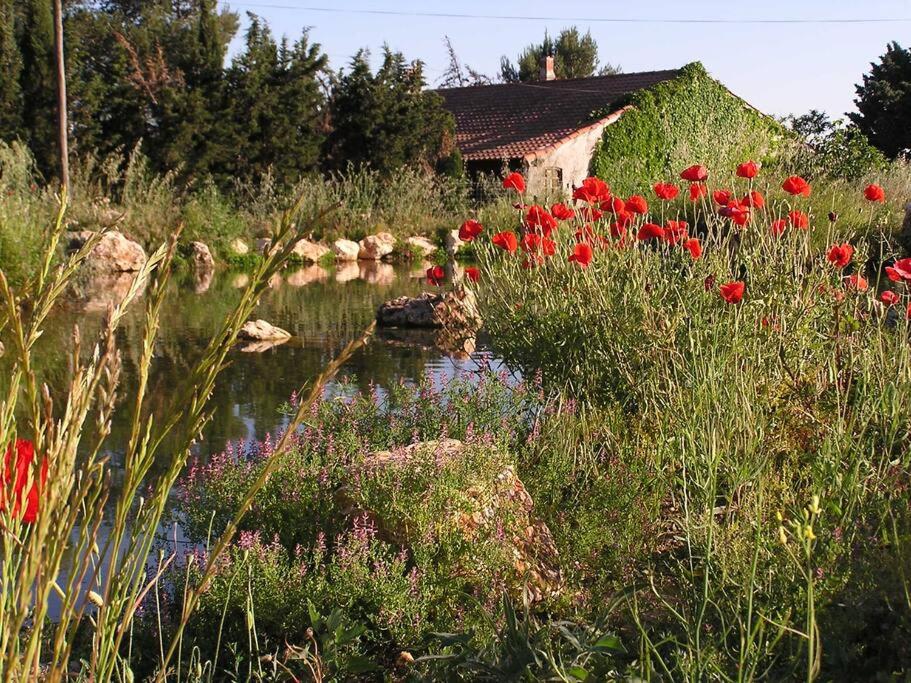 Villa Aux chants des grenouilles 11 Chemin la Drailhe, 34150 Montpeyroux