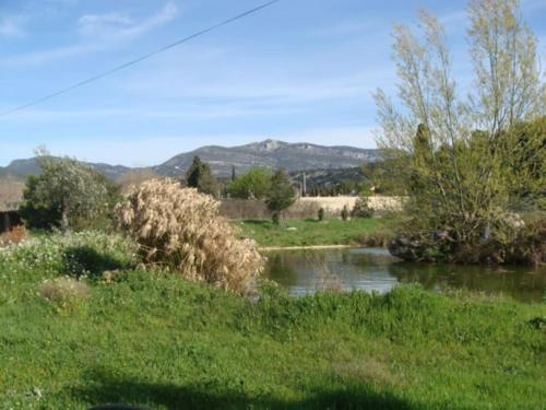 Aux chants des grenouilles Montpeyroux france