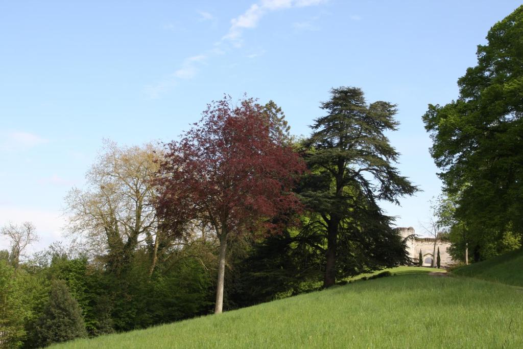 Maisons de vacances Aux Grilles Du Château Château de Saint Aignan, 41110 Saint-Aignan