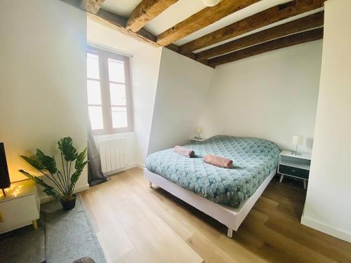 Appartement Aux pieds du Vieux-Mans : Joli Studio Cosy 24 Rue des Ponts Neufs Le Mans