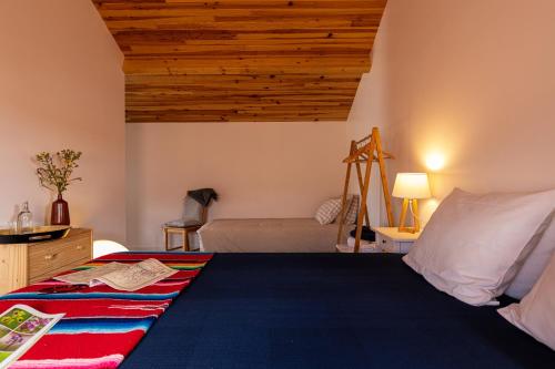 Avó Rosa Guesthouse São João da Ribeira portugal