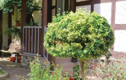 Maison de vacances Awesome home in Harzgerode-Dankerode with 3 Bedrooms and WiFi  Dankerode