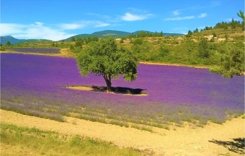 Awesome home in Lioux with Outdoor swimming pool, WiFi and Private swimming pool Lioux france