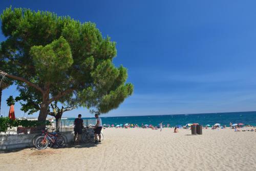 Village vacances Azureva Argeles Chemin de Valmy Argelès-sur-Mer