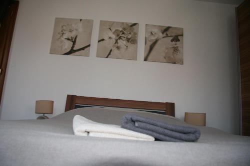 B&B / Chambre d'hôtes B&B bio 7 rue saint urbain Dieffenthal