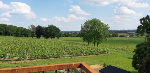 A L'OMBRE DE LA TREILLE -Proche Saint-Emilion