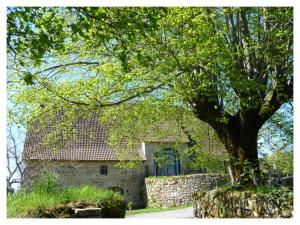 B&B / Chambre d'hôtes A L'Ombre du Tilleul Lieu-dit Boussac 46190 Comiac Midi-Pyrénées
