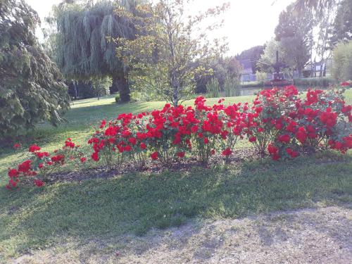 A la campagne au centre des châteaux de la Loire- Les ROSEAUX