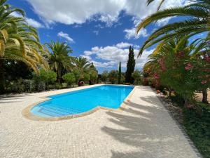 B&B / Chambre d'hôtes Adamah Vayu -Casa Serenida Torre de Apra 8100-243 Loulé Algarve