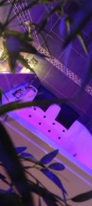 B&B / Chambre d'hôtes Atelier du chill - Bergues 34 Rue Neuve des Capucins 59380 Bergues Nord-Pas-de-Calais