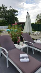 B&B / Chambre d'hôtes Au berceau du loup agile 22 Rue de Gambsheim 67850 Offendorf Alsace