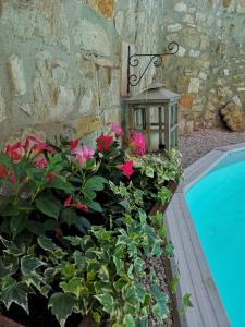 Au Clos des Anges