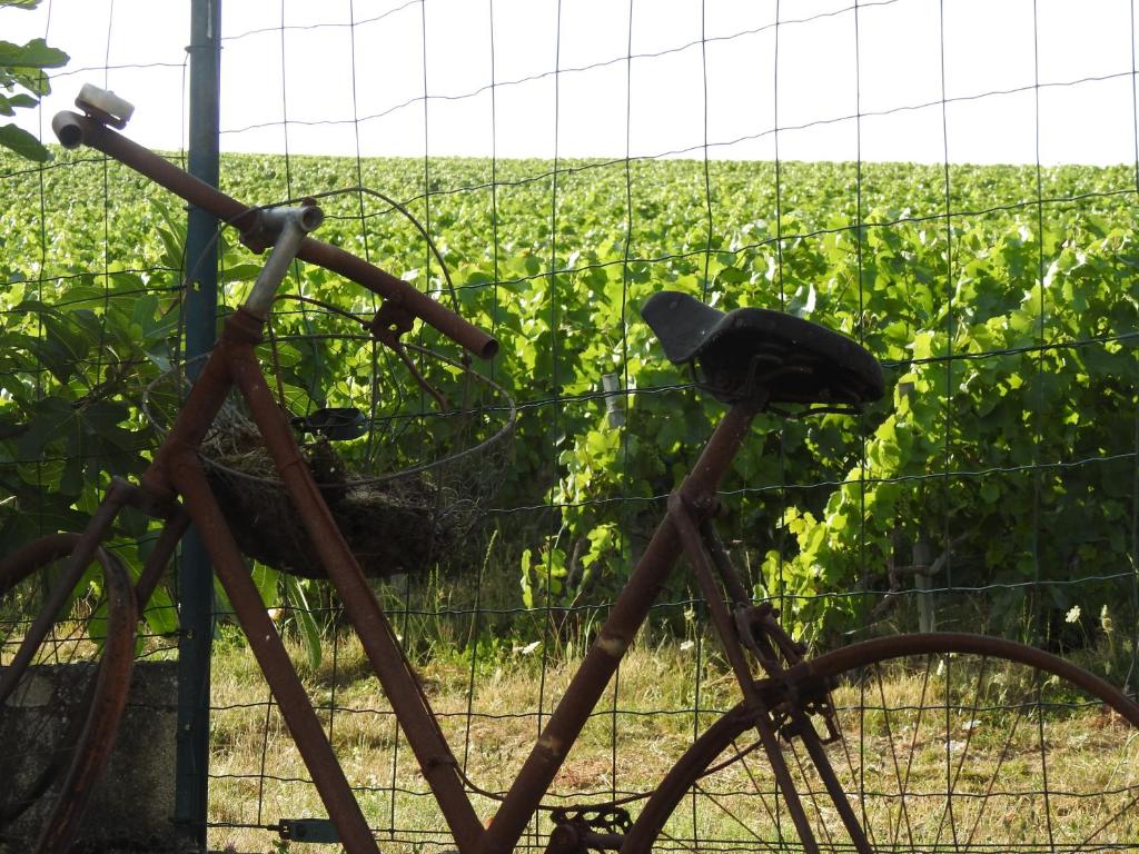 Au Coeur Des Vignes 2 Chemin des Crepons, 51200 Épernay