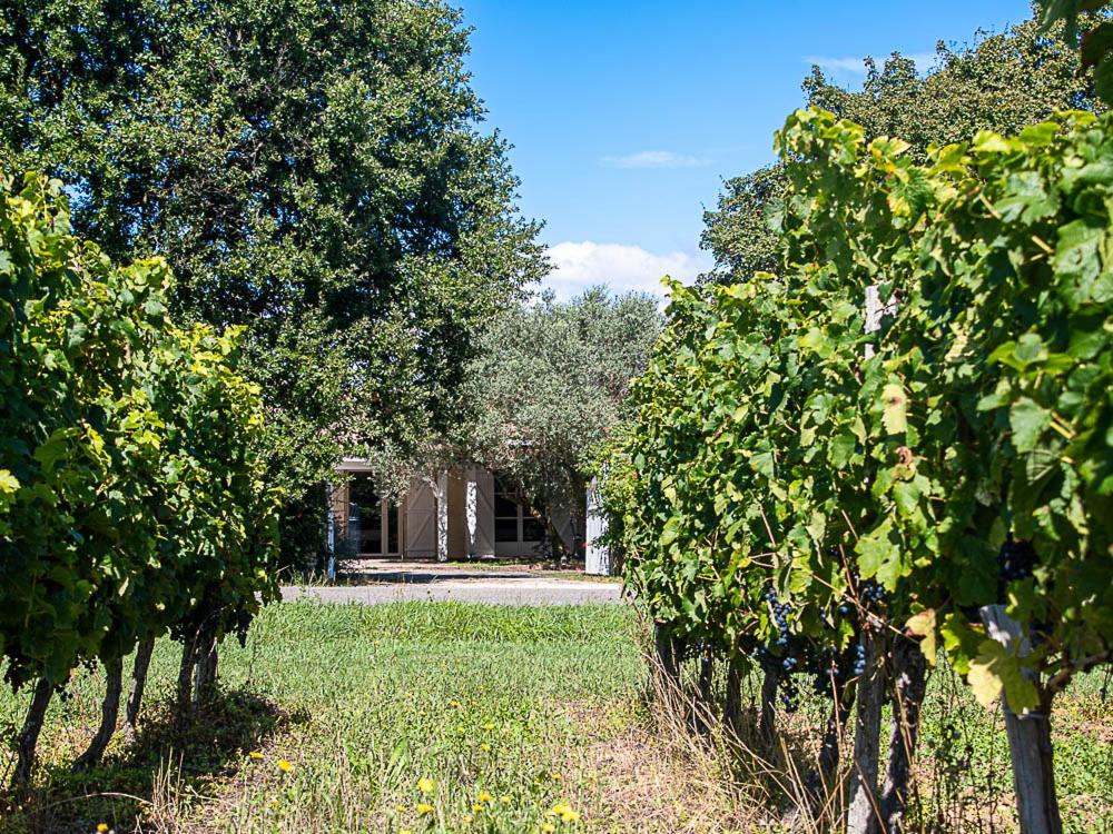 B&B / Chambre d'hôtes Au détour des vignes 1 Route de Saint-Yzans 33340 Ordonnac