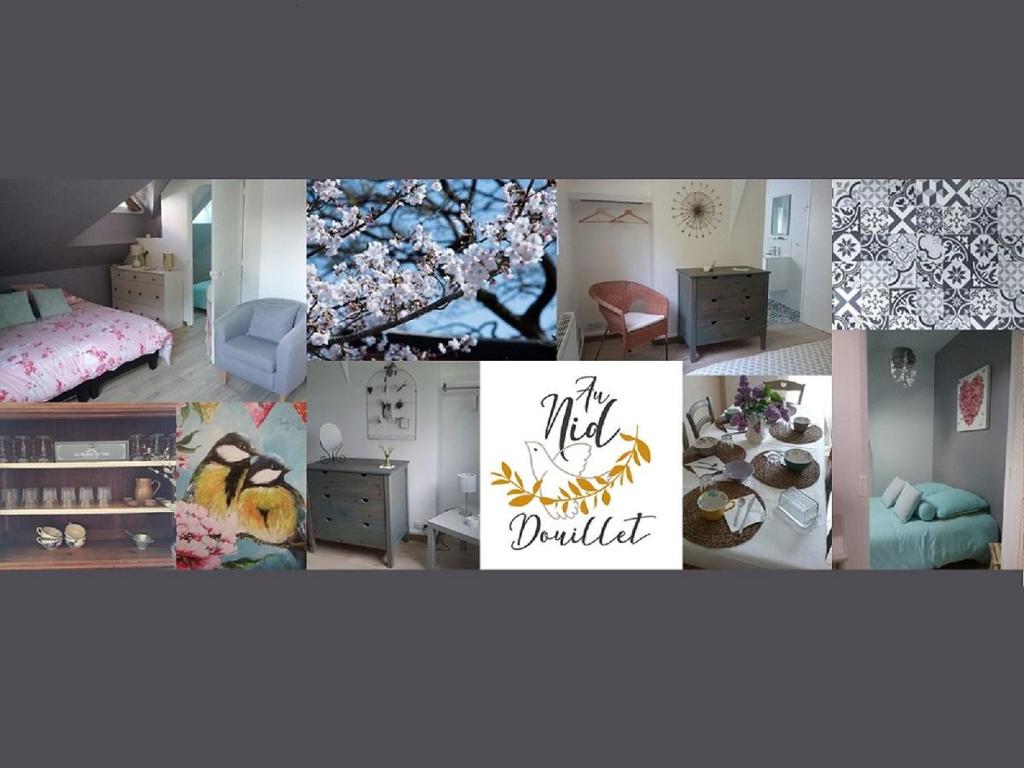 B&B / Chambre d'hôtes Au Nid Douillet 30 Rue de la Graine de Beurre 41110 Seigy