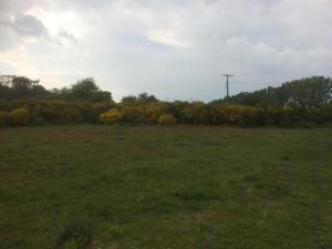 Au Parc aux Lièvres