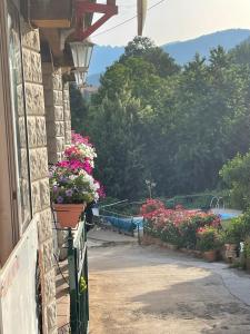 Auberge à Filetta