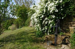 B&B / Chambre d'hôtes Auberge du Thiollet Le Thiollet 69610 Montromant Rhône-Alpes