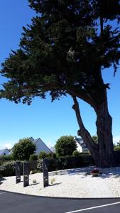 Auprès de mon arbre