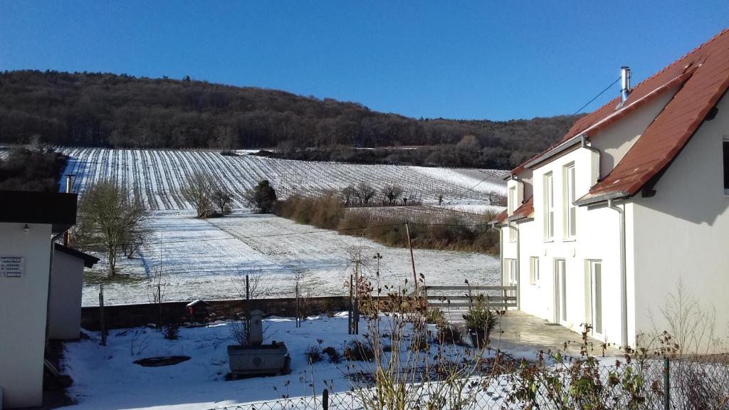 B&B / Chambre d'hôtes Aux vignes Rue du Château St Paul 67160 Wissembourg