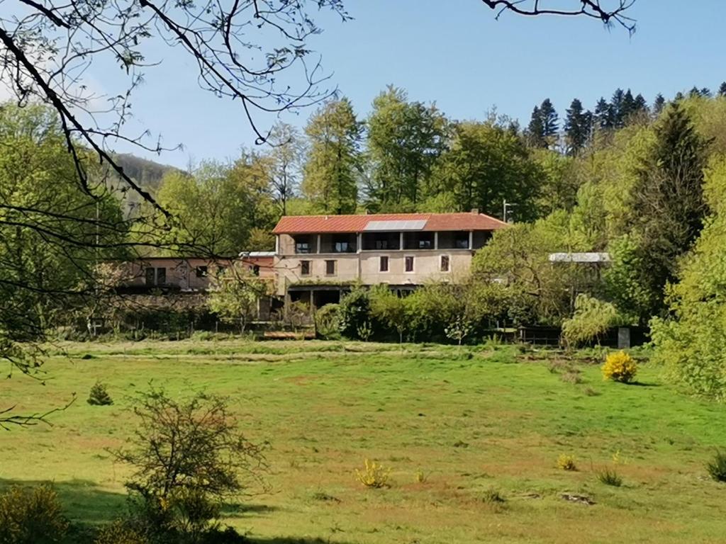 B&B / Chambre d'hôtes B and B Sycomore, La Bouriotte Lieu dit la Bouriotte 81270 Labastide-Rouairoux