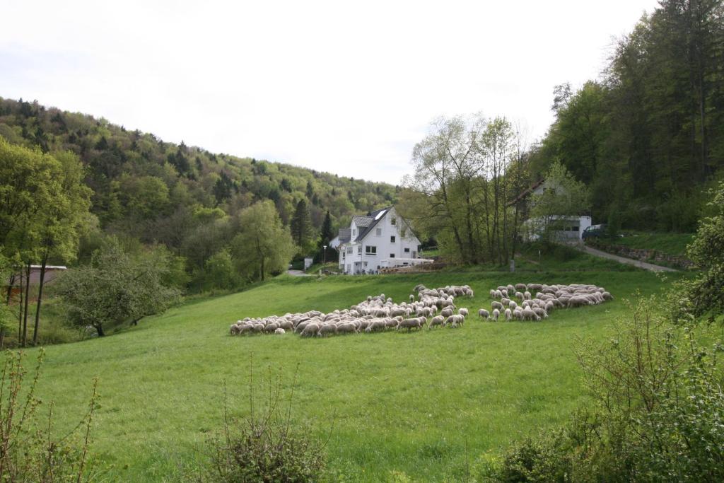 B&B Arlesbrunnen Arlesbrunnenstraße 265, 91349 Egloffstein