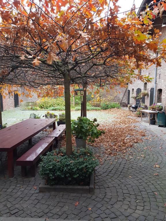 B & B BonVert 3 Palz, 52538 Gangelt