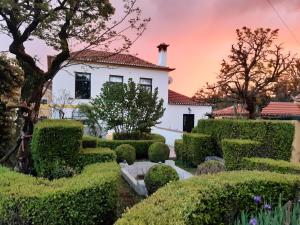 B&B Casa das Eiras