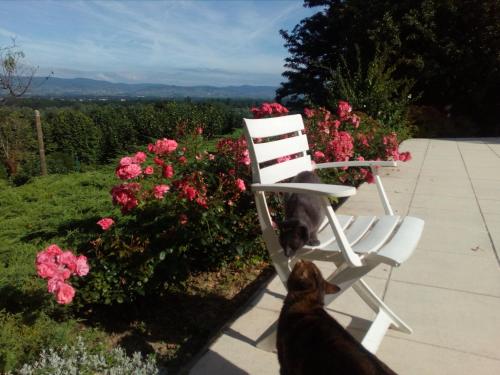 B&B chez Frédérique et Norbert