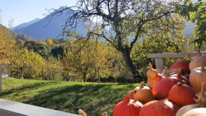 B&B / Chambre d'hôtes B&B Eth Béryè Petit 15, route de Vielle 65400 Beaucens Midi-Pyrénées