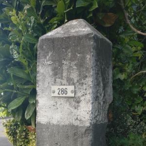 B&B Grenspaal 286