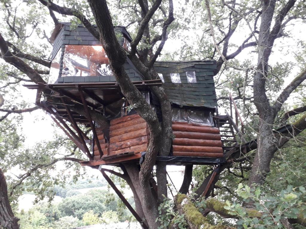 B&B La Cabane Insolite 1350, route de LAYMONT, 31370 Monès