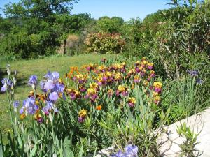 B&B La Cigaline