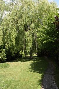 B&B Le Cottage Paris Saclay