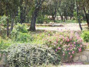 B&B / Chambre d'hôtes B&B Le Mas Des Chenes Route De Fontanes Lieu Dit \ 34270 Vacquières Languedoc-Roussillon