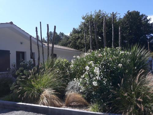B&B Les Villas de Gascogne